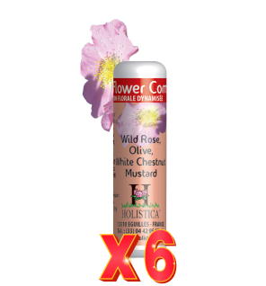 Pack de 6 unidades Flower Complex Nº5 - Miedos Holistica