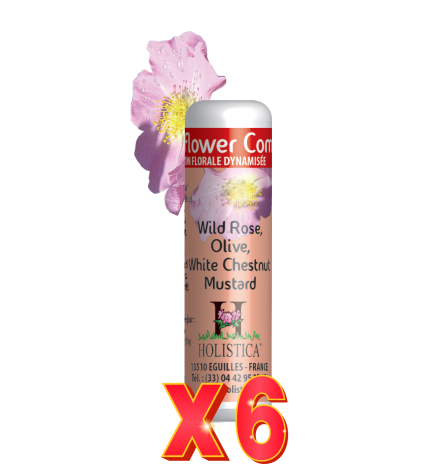 Pack de 6 unidades Flower Complex Nº5 - Miedos Holistica