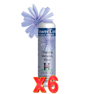 Pack de 6 unidades Flower Complex Nº6 - Inquietud Holistica