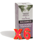Pack de 6 unidades Jarabe Balsamico - Tomillo & Propoleo 150Ml Holistica Pack de 6 unidades Jarabe Balsamico - Tomillo & Propoleo 150Ml Holistica