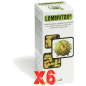 Pack de 6 unidades Lombritox 250 Ml Phytovit Pack de 6 unidades Lombritox 250 Ml Phytovit