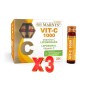 Pack de 3 unidades Vitamina c 1000 Liposomada 20 Viales 10Ml Marnys Pack de 3 unidades Vitamina c 1000 Liposomada 20 Viales 10Ml Marnys