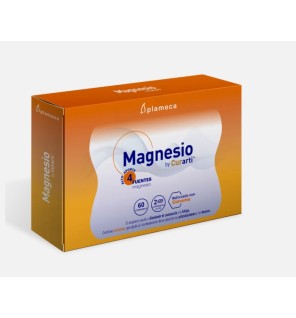 Magnesio By Curarti 60 Comprimidos Plameca
