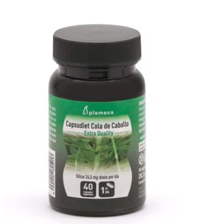 Capsudiet Cola De Caballo 40 Cápsulas Vegetales Plameca