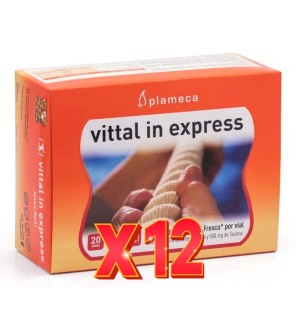 Pack 12 unidades Vittal In Express 20 Viales De 10 Ml Plameca