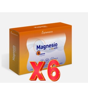 Pack de 6 unidades Magnesio By Curarti 60 Comprimidos Plameca