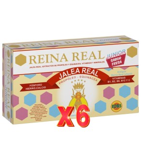 Pack de 6 unidades Reina Real Junior (Infantil) 20 Ampollas Robis