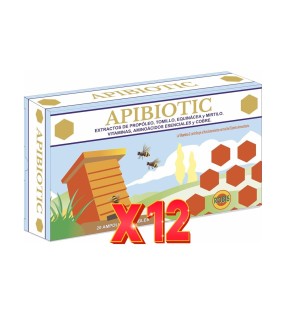 Pack de 12 unidades Apibiotic 20 Ampollas Robis