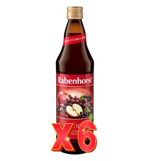 Pack de 6 unidades Zumo Antiox Ecologico 750 Ml Rabenhorst