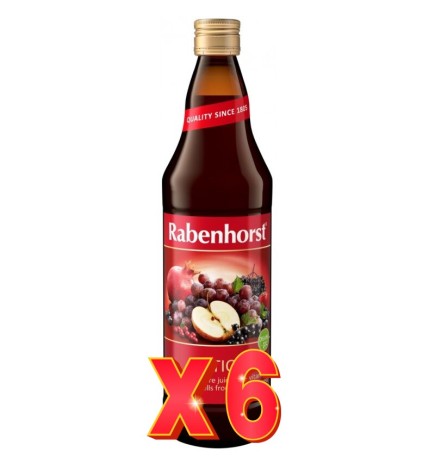 Pack de 6 unidades Zumo Antiox Ecologico 750 Ml Rabenhorst