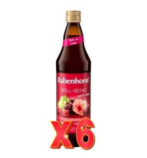 Pack de 6 unidades Zumo Well-Being 750 Ml Rabenhorst