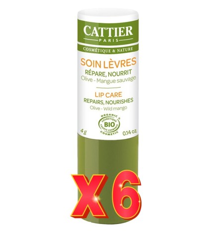 Pack de 6 unidades Balsamo Labial 4G Cattier