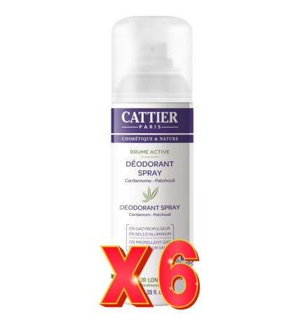 Pack de 6 unidades Desodorante Spray  100 Ml Cattier