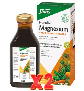 Pack de 2 unidades Salufit Magnesio 250 ml Salus