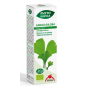 Phytobiopole Gingko Biloba 50 Ml Bio Intersa Phytobiopole Gingko Biloba 50 Ml Bio Intersa
