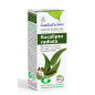 Aceite Esencial Eucalipto Radiata Bio 10 Ml Esential Aroms Aceite Esencial Eucalipto Radiata Bio 10 Ml Esential Aroms