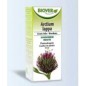 Ext. Arctium Lappa (Bardana)  50 Ml Biover