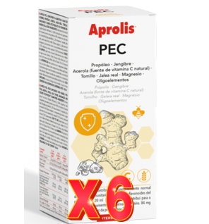 Pack 6 unidades Aprolis Jarabe Pec 180 Ml Intersa