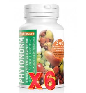 Pack 6 unidades Phytonorm 160 Capsulas Intersa