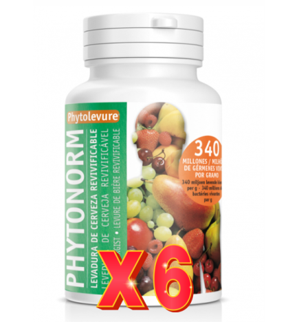 Pack 6 unidades Phytonorm 160 Capsulas Intersa