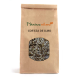 OLMO/OM - CORTEZA - Ulmus rubra (500g) de Pamies Vitae