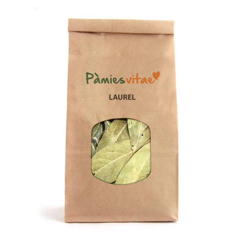 LAUREL - Laurus nobilis de Pamies Vitae