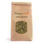 TAGETE HUACATAY HOJA Y FLOR - Tagetes minuta de Pamies Vitae