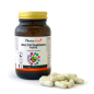 Multivitamínico Forte PV (60 cápsulas) de Pamies Vitae Multivitamínico Forte PV (60 cápsulas) de Pamies Vitae