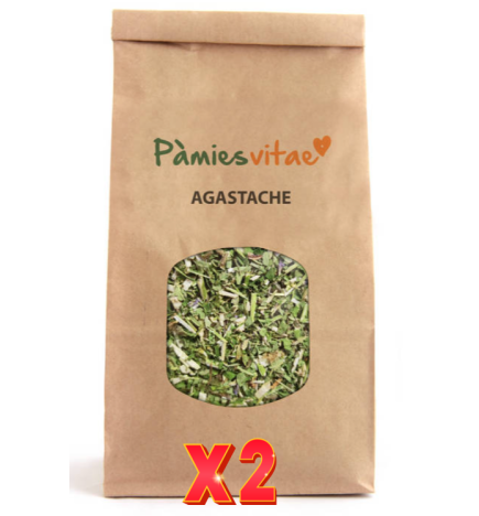 Pack de 2 unidades AGASTACHE - Agastache foeniculum de Pamies Vitae