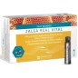 Jalea Real Vital Jelly Balance Fdb Jalea Real Vital Jelly Balance Fdb