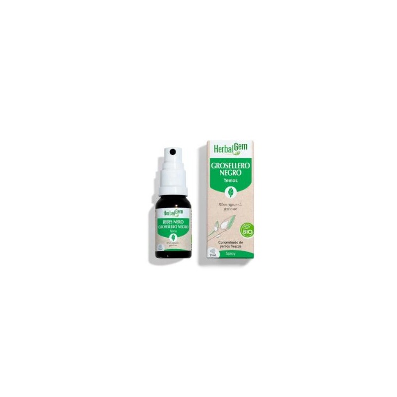 Grosellero Negro Spray 15 Ml Bio Herbalgem Grosellero Negro Spray 15 Ml Bio Herbalgem