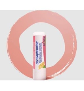 Dermoplasmine Stick Labial 4 Gramos Boiron