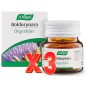 Pack de 3 unidades Boldocynara 60 comprimidos Vogel