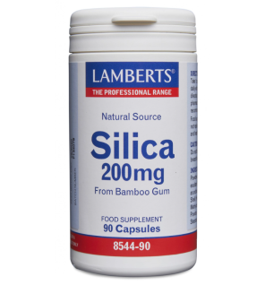 Silicio 200 Mg 90 Cápsulas Lamberts