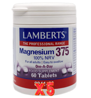 Pack de 5 unidades Magnesio 375 Mg Por Tableta 60 Tabletas Lamberts
