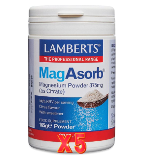 Pack de 5 unidades Magabsorb® Mag 375 Mg (En Polvo) 165 G Lamberts
