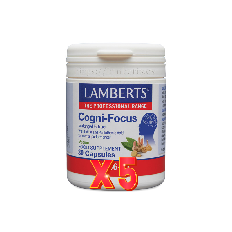 Pack de 5 unidades Cogni-Focus (Extracto De Galangal, Yodo Y Ácido Pantoténico) 30 Cápsulas Lamberts