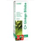 Pack de 3 unidades Fitoextrac Ginkgo Biloba 50 Ml Eladiet Pack de 3 unidades Fitoextrac Ginkgo Biloba 50 Ml Eladiet