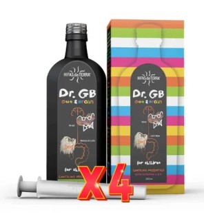 Pack de 4 unidades Dr. Gb 250 Ml Hifas da Terra