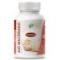 Ajo Macerado 700Mg 110 Perlas Ghf Ajo Macerado 700Mg 110 Perlas Ghf