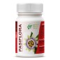 Pasiflora 500Mg 100 Comprimidos Ghf