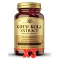 Pack de 3 unidades Full Potency Gotu Kola 100 Cápsulas Solgar Pack de 3 unidades Full Potency Gotu Kola 100 Cápsulas Solgar