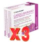 Pack 3 unidades Cardo mariano (complex) 9725 mg 60 capsulas vegetales Nature Essential Pack 3 unidades Cardo mariano (complex) 9725 mg 60 capsulas vegetales Nature Essential
