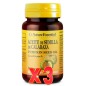 Pack 3 unidades Aceite de semilla de calabaza 500 mg 50 perlas Nature Essential Pack 3 unidades Aceite de semilla de calabaza 500 mg 50 perlas Nature Essential