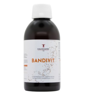 Bandivit Jarabe 250 Ml Hausmann