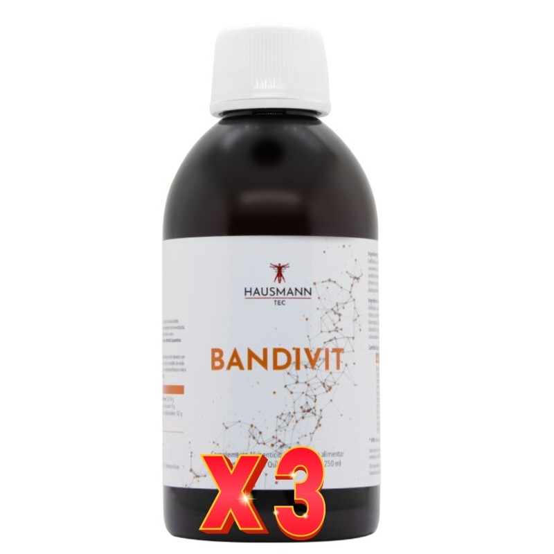 Pack de 3 unidades Bandivit Jarabe 250 Ml Hausmann