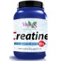 Creatina Polvo Creapure® 500 G Polvo Vbyotics