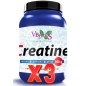 Pack de 3 unidades Creatina Polvo Creapure® 500 G Polvo Vbyotics