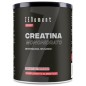 Creatina Monohidrato, Micronizada, Sin sabor 500 g Zenement Creatina Monohidrato, Micronizada, Sin sabor 500 g Zenement