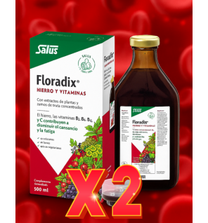 Pack de 2 unidades Floradix 500 ml Salus